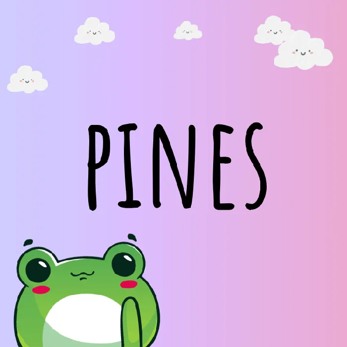 Imagen de categoría